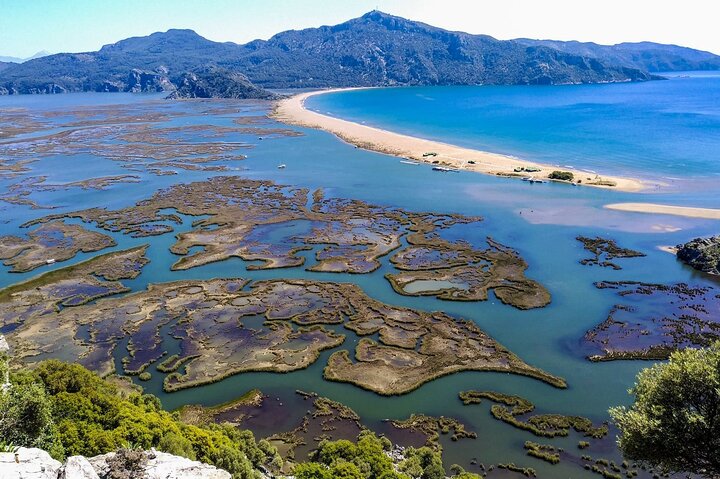 Dalyan Day Trip with Mud Bath and Turtle Beach From Fethiye