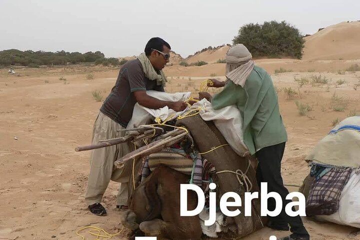 2 Days in the Desert on Camel Back