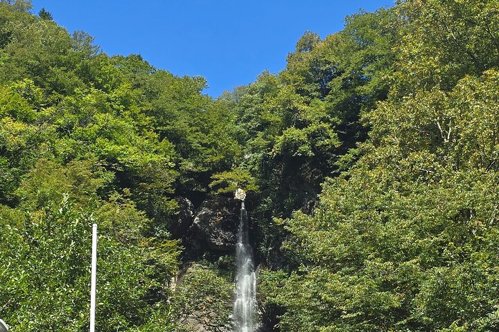Private Full Day Tour from Batumi to Waterfalls