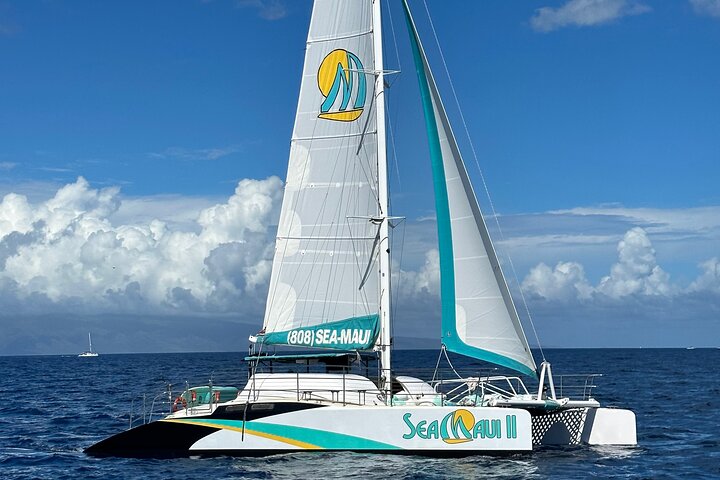 Maui: 2.5 Hour Xpress Snorkel from Ka’anapali Beach