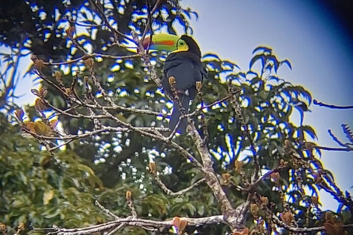 Guided tour in the Curicancha Reserve