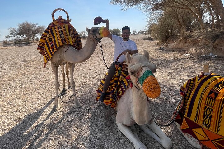 Edge of the World Riyadh Tour with Camel Ride, Bat Cave & Dinner