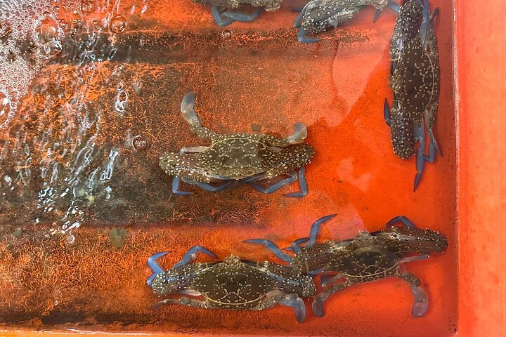 KAMPOT: Pepper farm. Cave. Secret Lake. Kep Crab market & Salt..