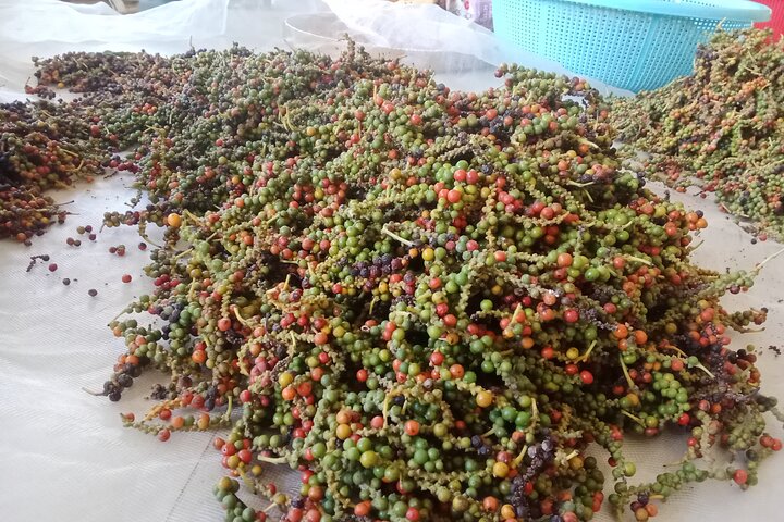 KAMPOT: Pepper farm. Cave. Secret Lake. Kep Crab market & Salt..