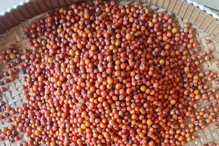 KAMPOT: Pepper farm. Cave. Secret Lake. Kep Crab market & Salt..