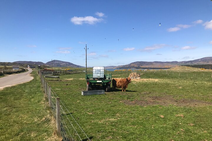 BMW SUV Tour of the Scottish Highlands with Kilted Guide
