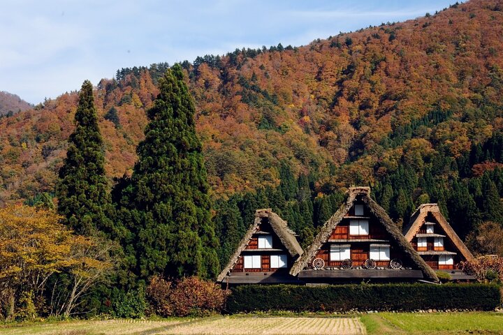 World Heritage Shirakawa-go Perfect Guided Tour from Kanazawa