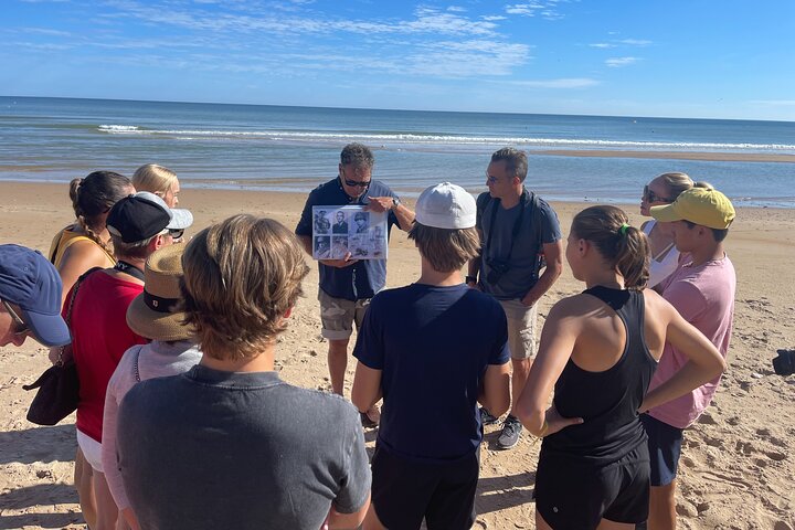Normandy: Private Tour of the D-Day Beaches (American Sector)