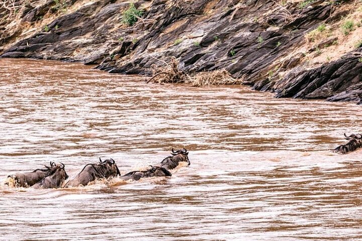 3 Days, 2 nights Maasai Mara Private Safari