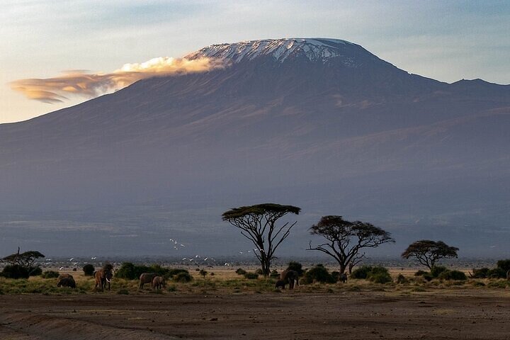 Day Tour to Amboseli National Park