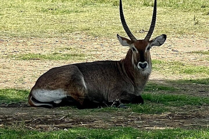 Day Tour to Hells Gate National Park
