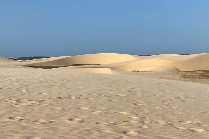 Private Tour - Full Island - Nature, beach and sea - Ecotour
