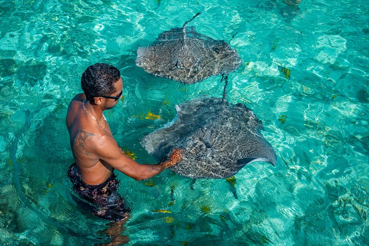 Bora Bora Full Day Snorkeling with Lunch