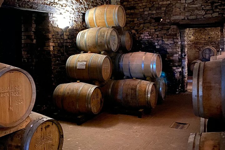 Private tour: discover Langhe wines with expert sommelier