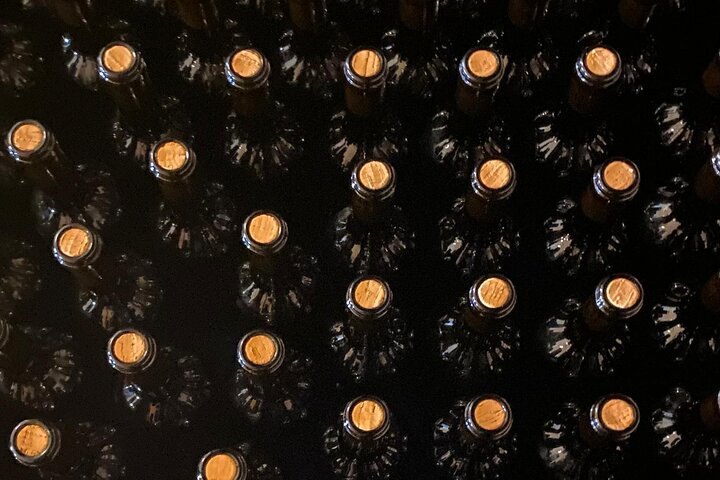 Private tour: discover Langhe wines with expert sommelier