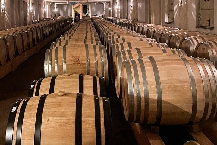 Private tour: discover Langhe wines with expert sommelier