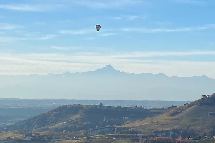 Private tour: discover Langhe wines with expert sommelier