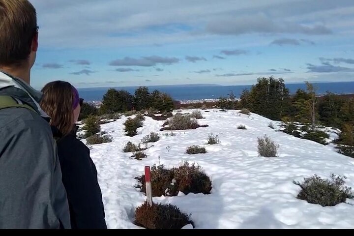 Magallanes National Reserve and Punta Arenas City Tour