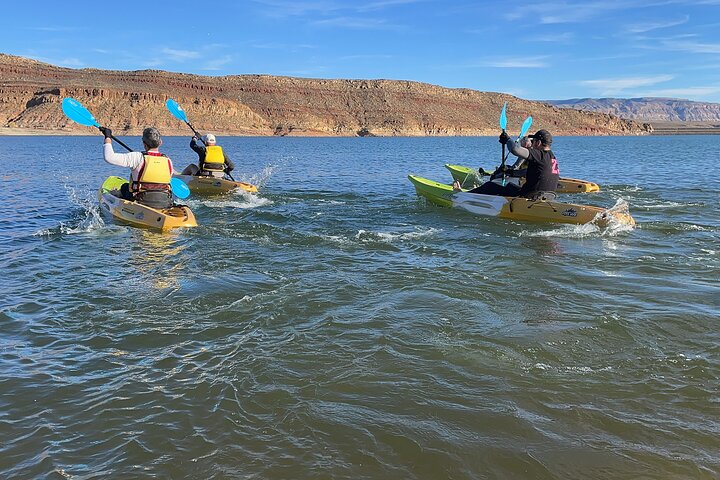 Kayak/SUP Tour: Birds, Beavers, Turtles, maybe even Cliff Jumping