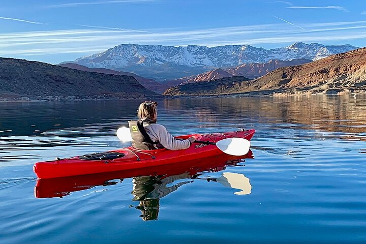 Kayak/SUP Tour: Birds, Beavers, Turtles, maybe even Cliff Jumping