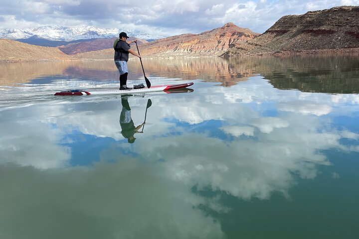 Kayak/SUP Tour: Birds, Beavers, Turtles, maybe even Cliff Jumping