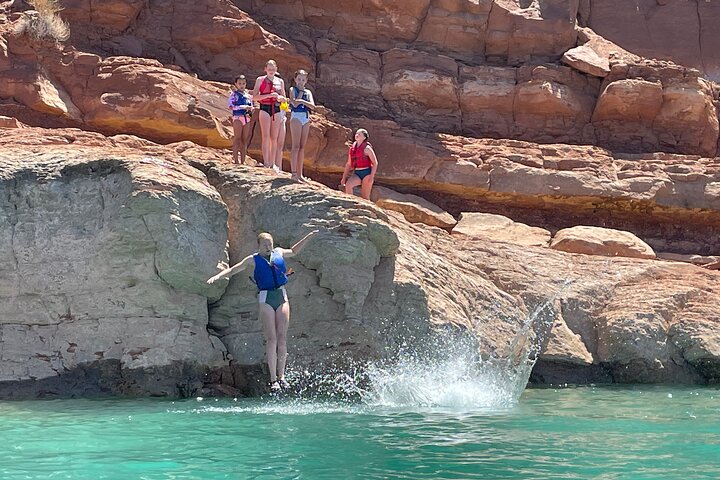 Kayak/SUP Tour: Birds, Beavers, Turtles, maybe even Cliff Jumping