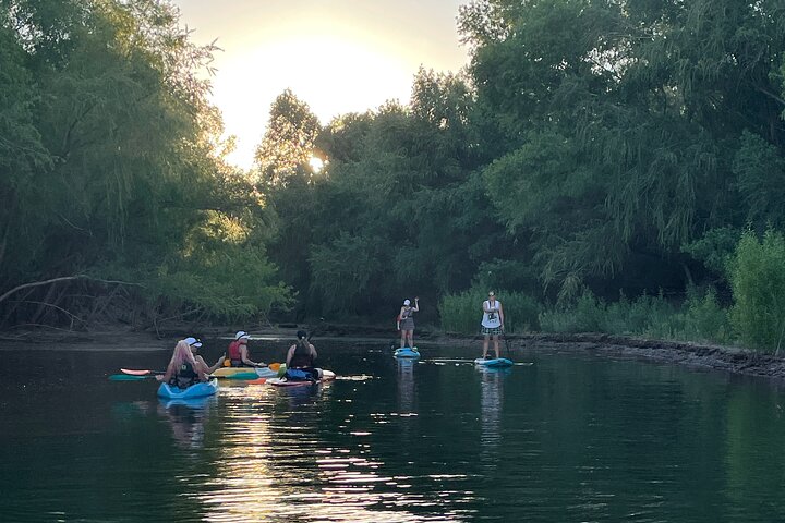 Kayak/SUP Tour: Birds, Beavers, Turtles, maybe even Cliff Jumping