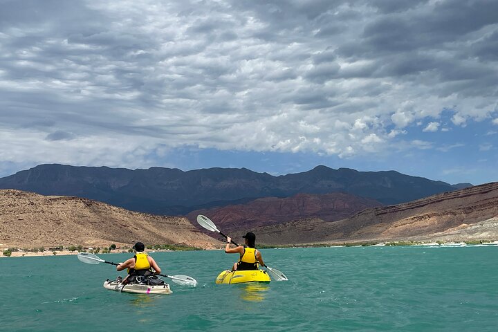Kayak/SUP Tour: Birds, Beavers, Turtles, maybe even Cliff Jumping
