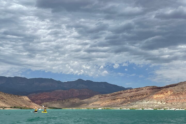 Kayak/SUP Tour: Birds, Beavers, Turtles, maybe even Cliff Jumping
