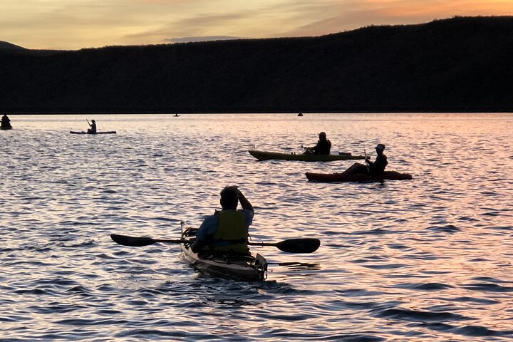 Kayak/SUP Tour: Birds, Beavers, Turtles, maybe even Cliff Jumping