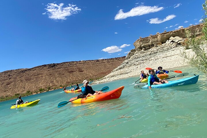 Kayak/SUP Tour: Birds, Beavers, Turtles, maybe even Cliff Jumping