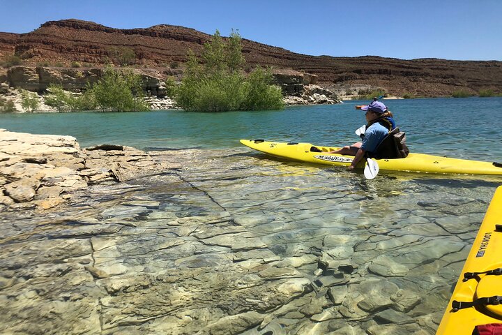 Kayak/SUP Tour: Birds, Beavers, Turtles, maybe even Cliff Jumping