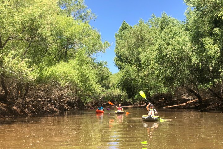 Kayak/SUP Tour: Birds, Beavers, Turtles, maybe even Cliff Jumping