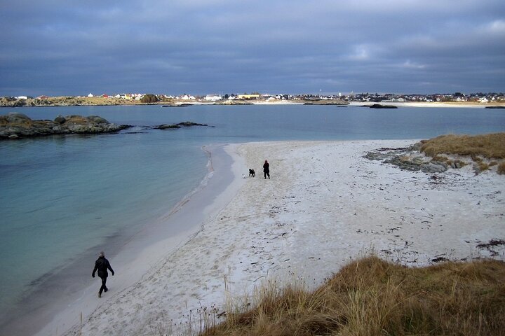 Highlights of the Region -City/Skudenes/Avaldsnes Guided Bustour