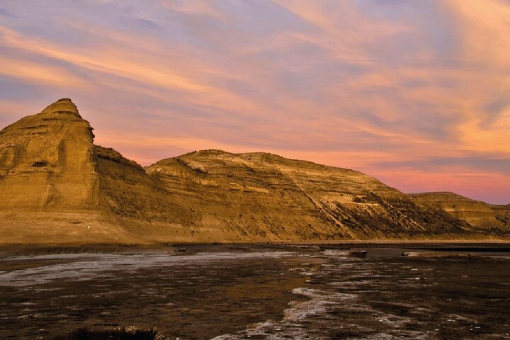 Peninsula Valdés - EARLY BOOKING -20 OFF - for Cruise Passengers