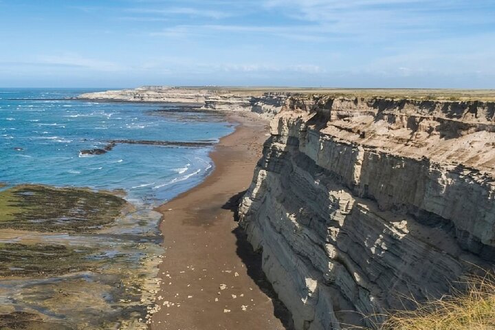 Peninsula Valdés - EARLY BOOKING -20 OFF - for Cruise Passengers