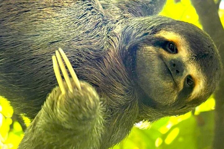 Manuel Antonio Park Guided Tour - Admission Ticket Included