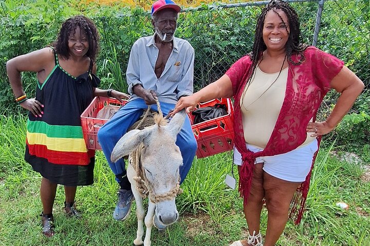 3 Hours Private Tour in Montego Bay From Falmouth