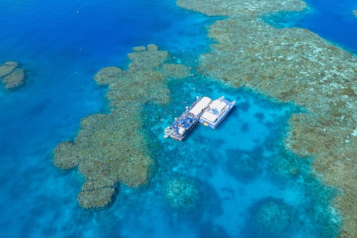Sunlover Reef Cruises Cairns Great Barrier Reef Experience