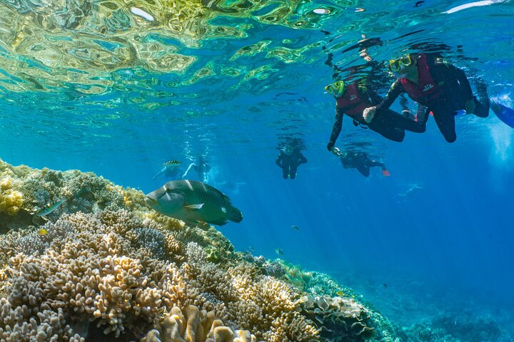 Sunlover Reef Cruises Cairns Great Barrier Reef Experience
