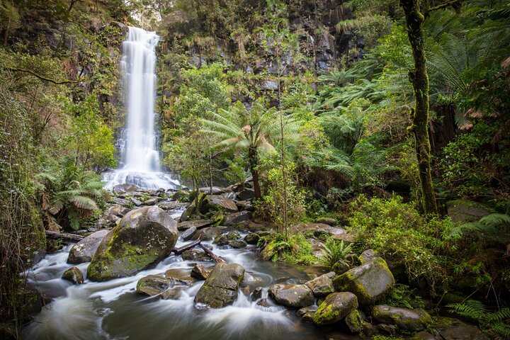 Self-Guided Audio Driving Tour of the Great Ocean Road, Australia