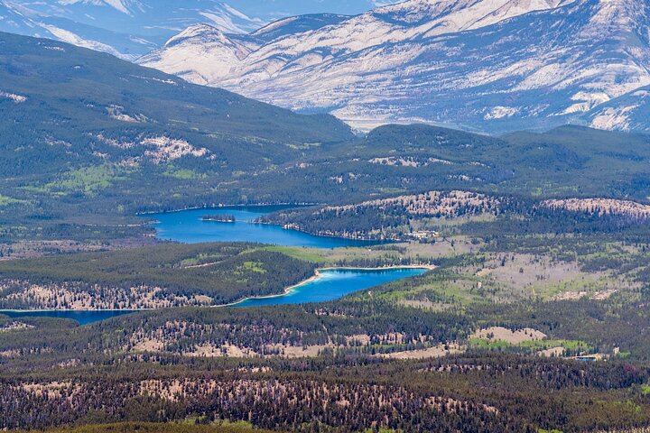 Self-Guided Audio Driving Tour in Jasper National Park