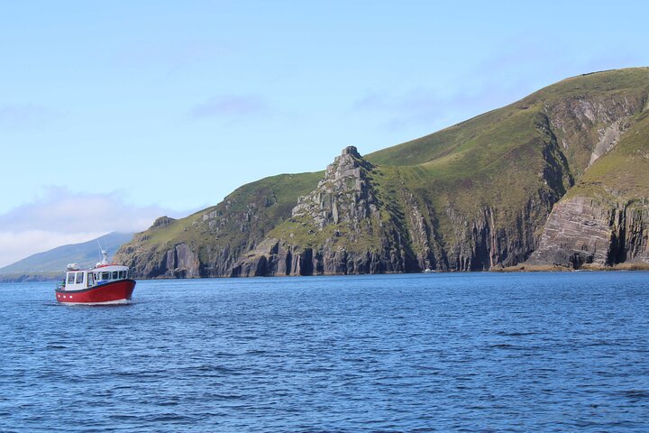 2-hour Guided Mini Eco Tour at Dingle, Ireland