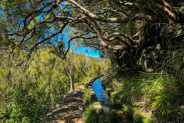 25 Fountains Levada: Hiking Tour in Madeira Rabaçal Valley (PR6)