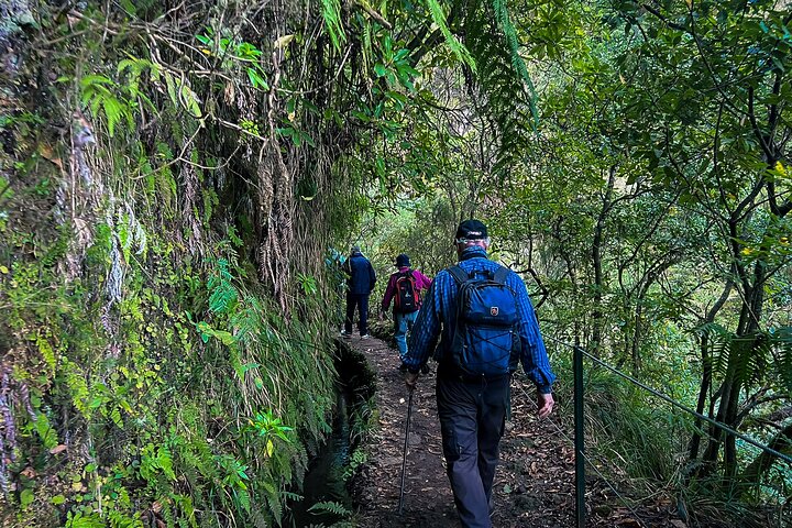 Caldeirão Verde Levada (PR 9) - Guided Madeira Levada Walk