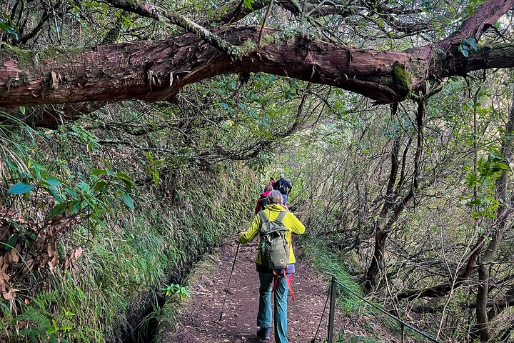 Caldeirão Verde Levada (PR 9) - Guided Madeira Levada Walk