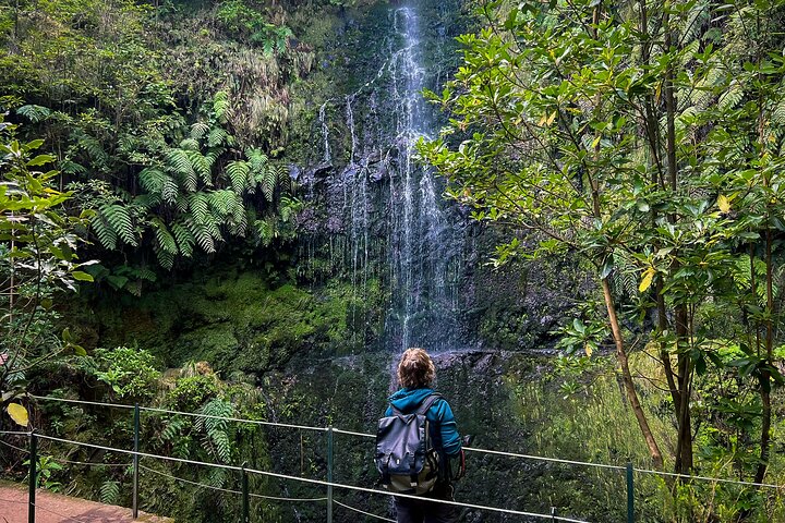 Caldeirão Verde Levada (PR 9) - Guided Madeira Levada Walk