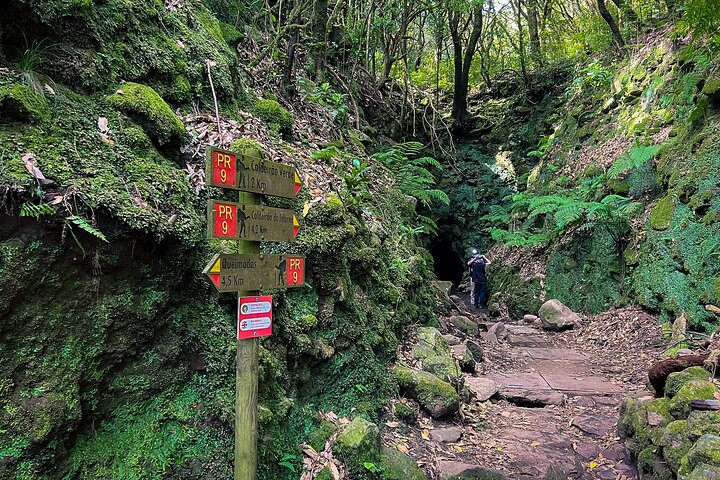 Caldeirão Verde Levada (PR 9) - Guided Madeira Levada Walk