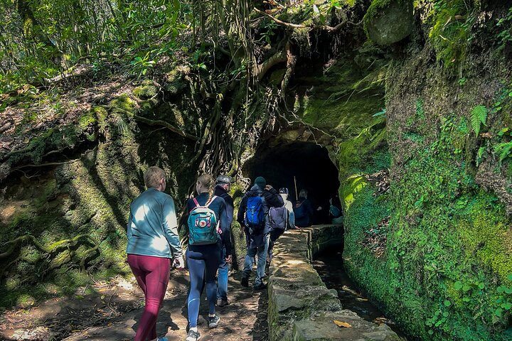 Caldeirão Verde Levada (PR 9) - Guided Madeira Levada Walk