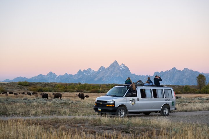 Sunset 4-Hour Grand Teton Wildlife Adventure